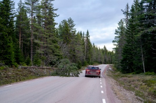 En röd kombibil rundar ett nedfallet träd på en väg.